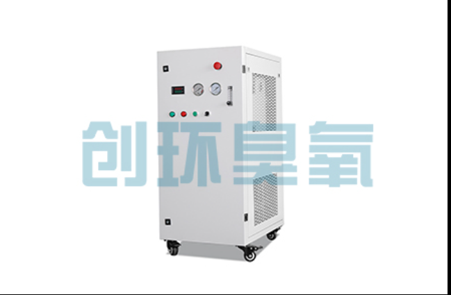 琼海工厂化养鲈必看:2026年臭氧发生器替代传统消毒的最新方案