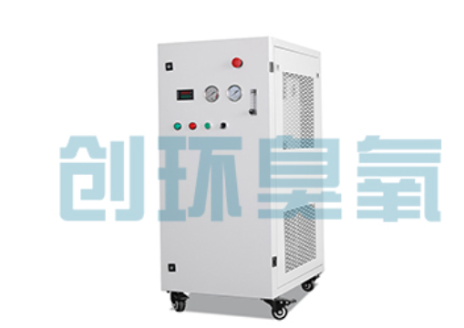 琼海石斑鱼养殖水质调控完整指南：臭氧发生器配置与操作步骤