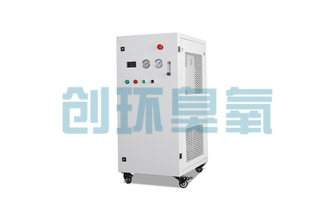 琼海比传统换水更高效？臭氧发生器在石斑鱼养殖中的水质净化原理解析